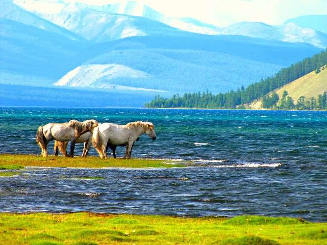 Lễ hội trên hồ đóng băng kỳ lạ của người Mông Cổ: Lạnh kinh hoàng nhưng đẹp đến mê mẩn - Ảnh 1.