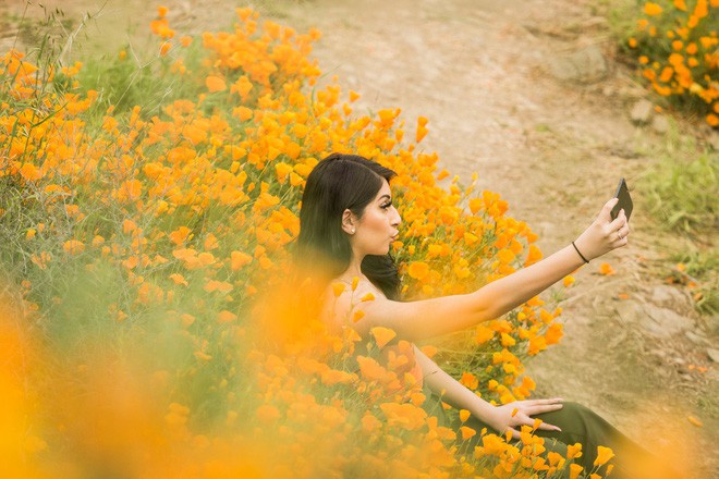 Xót xa đồi hoa California khổng lồ cực hiếm bị phá hoại chỉ vì làn sóng Instagram thích sống ảo - Ảnh 6.