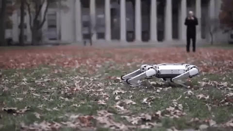 MIT giới thiệu robot 4 chân đầu tiên trên thế giới có thể nhảy lộn ngược và còn dễ thương như cún con - Ảnh 2.