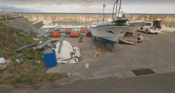 Chú chó Nhật hủy hoại mọi khung hình của Google Street View vì đuổi theo camera - Ảnh 3.
