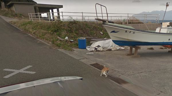 Chú chó Nhật hủy hoại mọi khung hình của Google Street View vì đuổi theo camera - Ảnh 4.