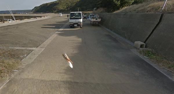 Chú chó Nhật hủy hoại mọi khung hình của Google Street View vì đuổi theo camera - Ảnh 11.