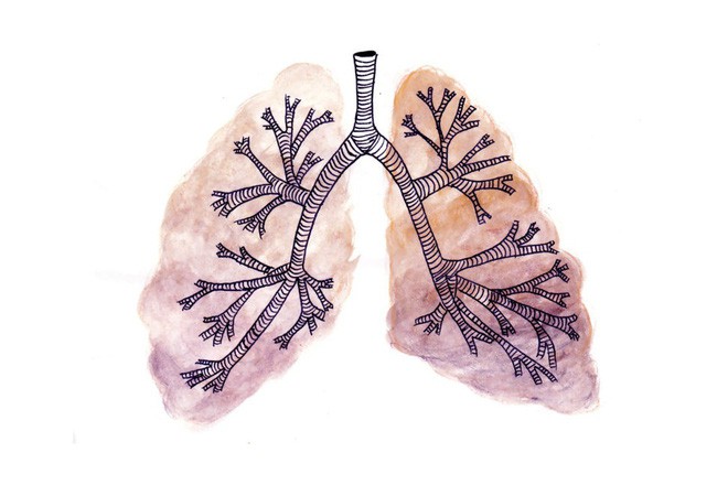 Sự kì dị của ung thư: Khi lá phổi bị biến thành dạ dày và ruột - Ảnh 1.
