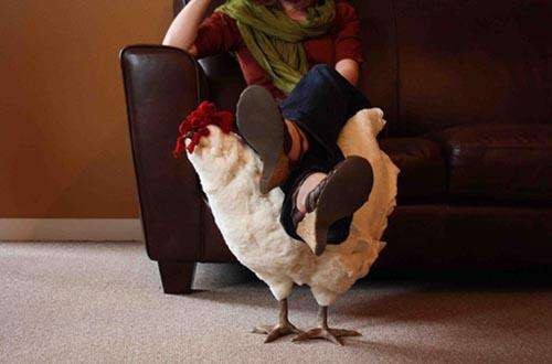 Người Mỹ đang chi cả nghìn USD mua gà về gác chân nhưng PETA không ý kiến gì - Ảnh 2.