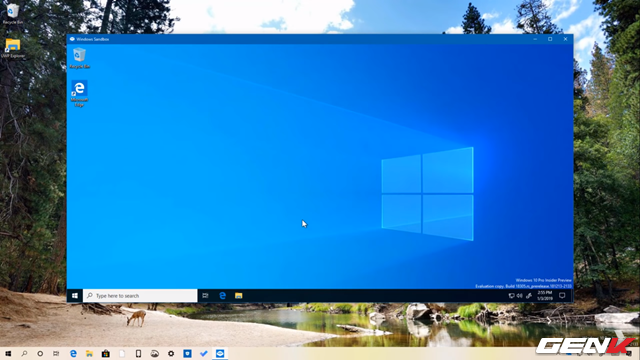 Cách kích hoạt và sử dụng Windows Sandbox trên Windows 10 May 2019 - Ảnh 12.
