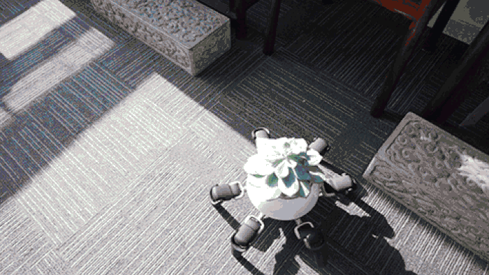 Đây là chậu cây robot biết đi loanh quanh tìm ánh sáng, nắng quá lại tự tìm chỗ trốn - Ảnh 2.