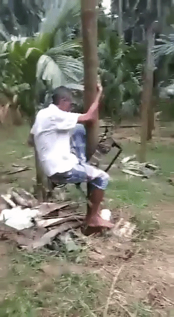 Ngả mũ thán phục chiếc xe máy leo dừa của bác nông dân Ấn Độ - Ảnh 3.