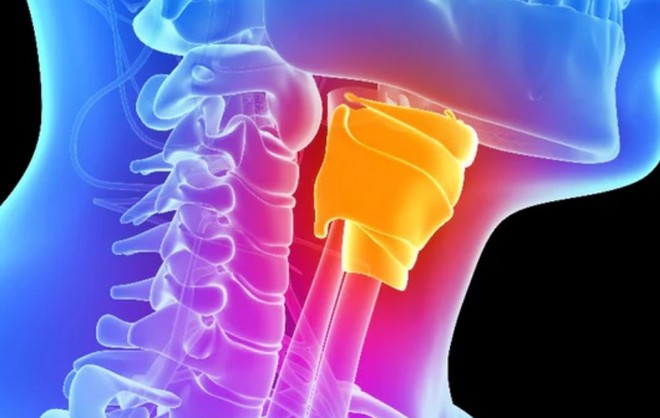 Các nhà khoa học phát triển thành công cổ họng nhân tạo, giúp chữa trị cho người bị mất giọng nói vì mất dây thanh âm - Ảnh 1.