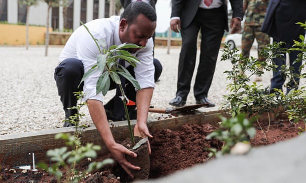 Kỷ lục đáng nể của Lục địa Đen: Trong 12 giờ, Ethiopia trồng được 350 triệu cây xanh - Ảnh 1.