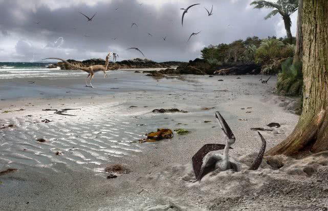 Loài khủng long Pterodactyl, động vật có xương sống duy nhất trên trái đất có thể bay và tự kiếm mồi ngay sau khi chào đời - Ảnh 6.