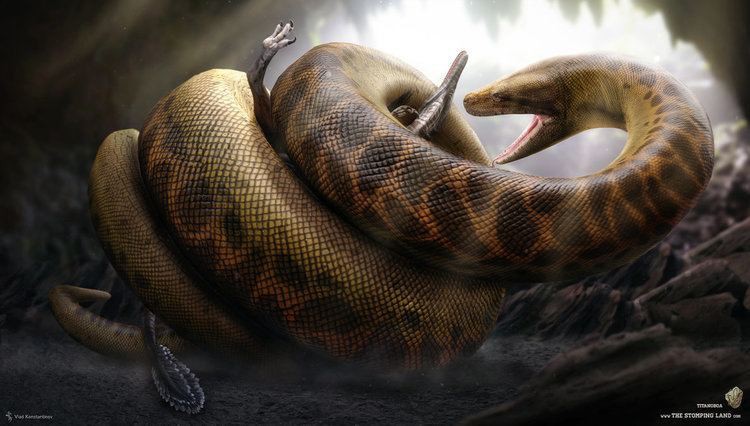 Trăn Anaconda chỉ là loài vật tí hon bởi trăn khổng lồ Titanoboa có thể nuốt chửng cả khủng long