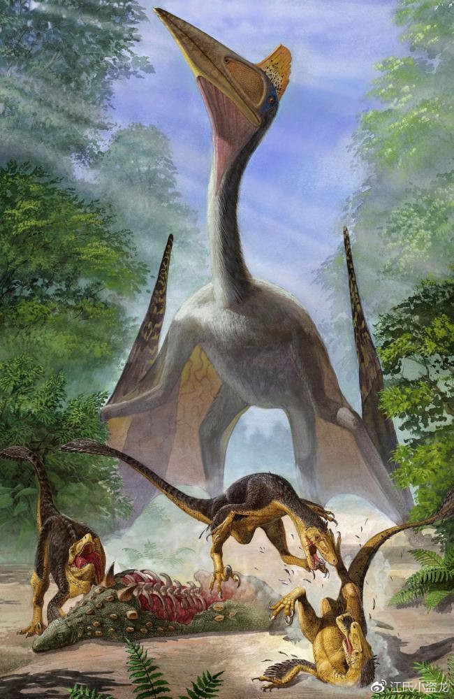 Hatzegopteryx - Loài khủng long bạo chúa trên không - Ảnh 8.