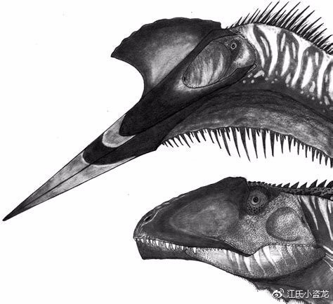Hatzegopteryx - Loài khủng long bạo chúa trên không - Ảnh 4.
