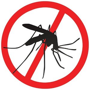 Bé nhỏ là thế, tại sao muỗi có thể đe dọa mạng sống của một nửa dân số thế giới? - Ảnh 11.