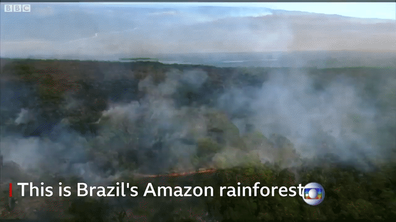 Loạt ảnh gây sốc về rừng Amazon bùng cháy với tốc độ kỷ lục: Khói có thể nhìn thấy từ ngoài không gian, các thành phố bị bao phủ mù mịt như tận thế - Ảnh 7.