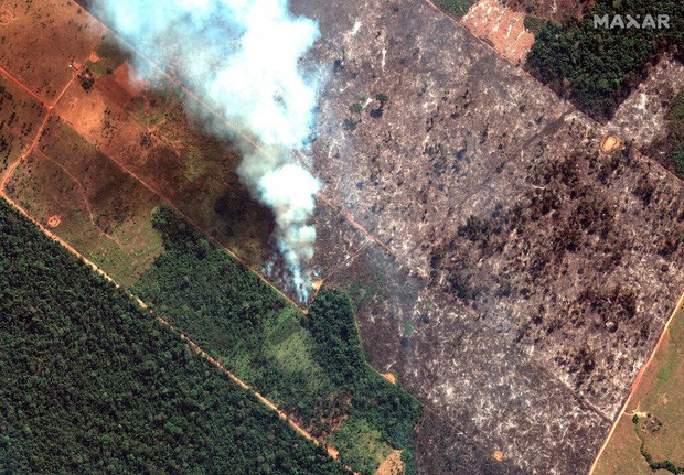  Thảm họa của thế kỉ 21: Rừng Amazon có thể tự dập lửa nhưng bị chính con người “bức tử” và sự trả thù của thiên nhiên sẽ vô cùng tàn khốc - Ảnh 1.