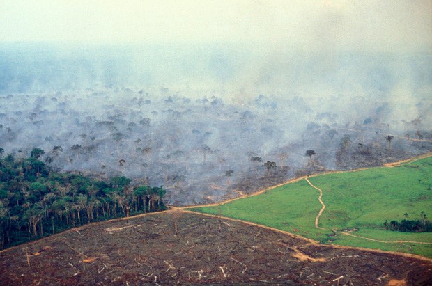  Thảm họa của thế kỉ 21: Rừng Amazon có thể tự dập lửa nhưng bị chính con người “bức tử” và sự trả thù của thiên nhiên sẽ vô cùng tàn khốc - Ảnh 2.