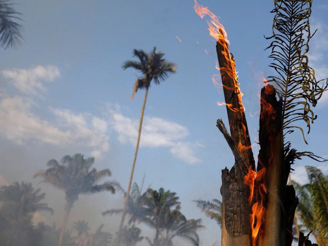  Thảm họa của thế kỉ 21: Rừng Amazon có thể tự dập lửa nhưng bị chính con người “bức tử” và sự trả thù của thiên nhiên sẽ vô cùng tàn khốc - Ảnh 5.