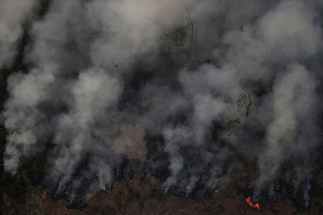  Thảm họa của thế kỉ 21: Rừng Amazon có thể tự dập lửa nhưng bị chính con người “bức tử” và sự trả thù của thiên nhiên sẽ vô cùng tàn khốc - Ảnh 6.