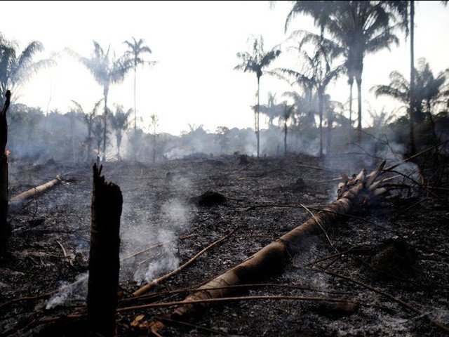  Thảm họa của thế kỉ 21: Rừng Amazon có thể tự dập lửa nhưng bị chính con người “bức tử” và sự trả thù của thiên nhiên sẽ vô cùng tàn khốc - Ảnh 7.
