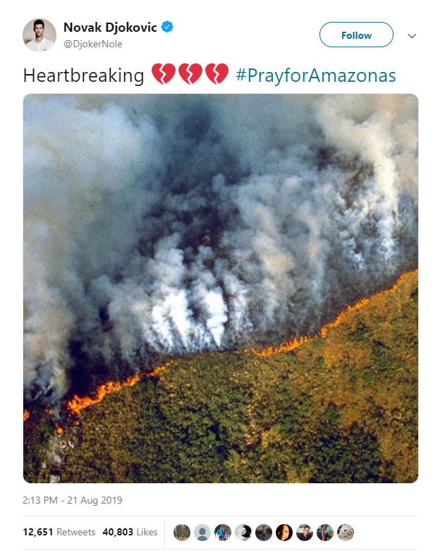 Hàng loạt sao cầu nguyện cho rừng Amazon, nhưng lại share nhầm ảnh đám cháy ở chỗ khác, kể cả Ronaldo, Djokovic hay Madonna - Ảnh 5.