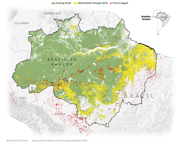 The New York Times: Phân tích ảnh vệ tinh đã chỉ ra chính xác thủ phạm gây cháy rừng thảm họa tại Amazon - Ảnh 2.