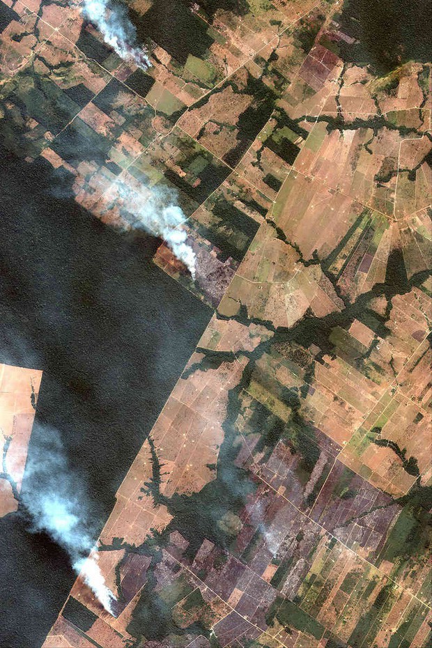 The New York Times: Phân tích ảnh vệ tinh đã chỉ ra chính xác thủ phạm gây cháy rừng thảm họa tại Amazon - Ảnh 3.