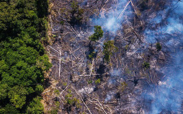 The New York Times: Phân tích ảnh vệ tinh đã chỉ ra chính xác thủ phạm gây cháy rừng thảm họa tại Amazon - Ảnh 1.
