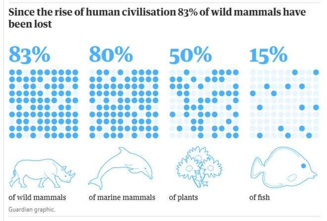 Con người chỉ chiếm 0,01% sự sống trên trái đất nhưng lại hủy diệt 83% các loài khác - Ảnh 2.