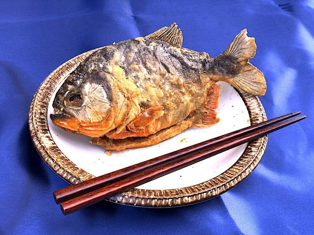  Khi mì Ramen kết hợp với loài cá ăn thịt Piranha: Giá 650k/bát, mỗi ngày chỉ bán 100 bát - Ảnh 5.