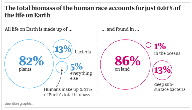 Con người chỉ chiếm 0,01% sự sống trên trái đất nhưng lại hủy diệt 83% các loài khác - Ảnh 4.
