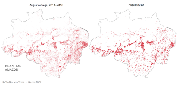 The New York Times: Phân tích ảnh vệ tinh đã chỉ ra chính xác thủ phạm gây cháy rừng thảm họa tại Amazon - Ảnh 5.