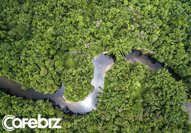 Thợ mỏ trái phép, nông dân và các nhóm khai thác tài nguyên của Brazil: Những thế lực đang âm thầm phá hủy lá phổi xanh Amazon - Ảnh 1.