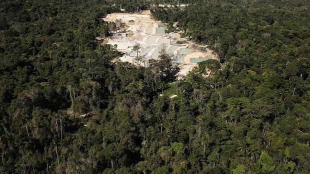 Thợ mỏ trái phép, nông dân và các nhóm khai thác tài nguyên của Brazil: Những thế lực đang âm thầm phá hủy lá phổi xanh Amazon - Ảnh 2.