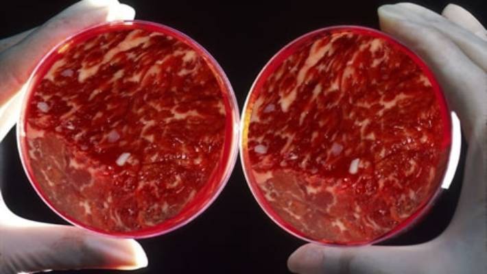 KFC sắp b&aacute;n g&agrave; r&aacute;n loại mới, kh&ocirc;ng l&agrave;m từ thịt m&agrave; l&agrave; rau củ quả - Ảnh 2.