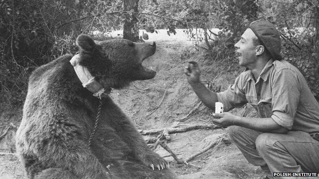 Wojtek: Chú gấu nghiện bia được lấy làm biểu tượng trên huy hiệu của lực lượng pháo binh Ba Lan - Ảnh 5.