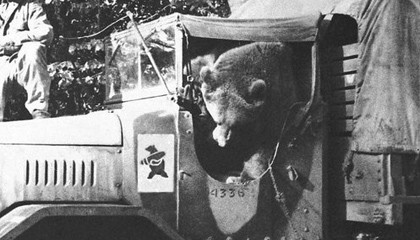 Wojtek: Chú gấu nghiện bia được lấy làm biểu tượng trên huy hiệu của lực lượng pháo binh Ba Lan - Ảnh 7.