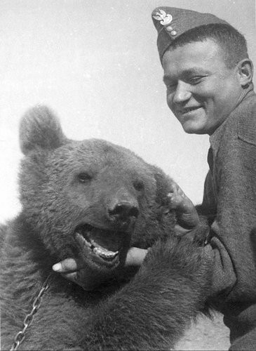 Wojtek: Chú gấu nghiện bia được lấy làm biểu tượng trên huy hiệu của lực lượng pháo binh Ba Lan - Ảnh 11.