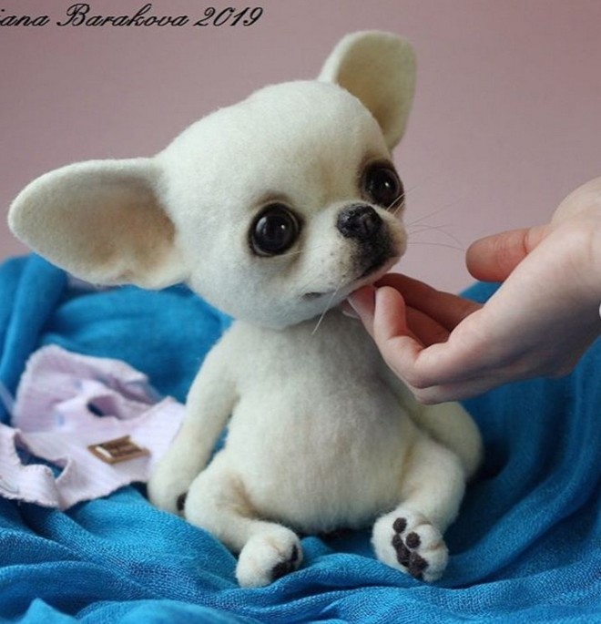 Nghệ sỹ người Nga tạo ra những con vật bằng len “cute” hết nấc, nhìn là muốn mang cả thế giới động vật về nhà - Ảnh 7.