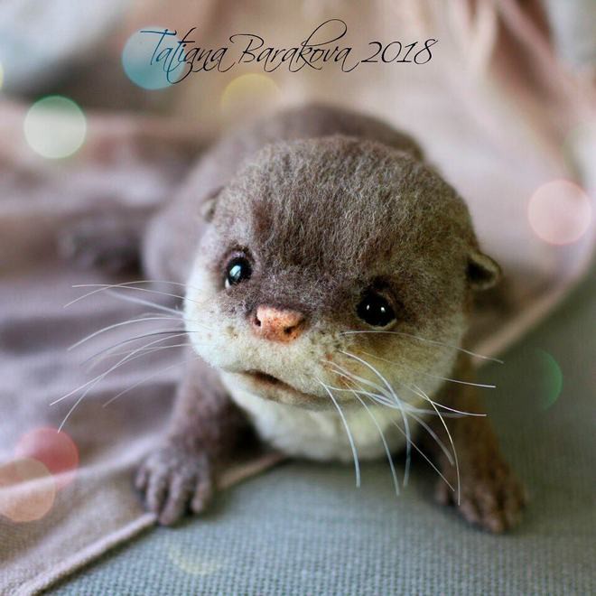 Nghệ sỹ người Nga tạo ra những con vật bằng len “cute” hết nấc, nhìn là muốn mang cả thế giới động vật về nhà - Ảnh 19.