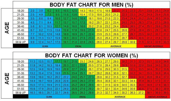 Cách đo “mỡ thừa đơn giản để bạn biết mình có thực sự thừa cân hay không - Ảnh 1.
