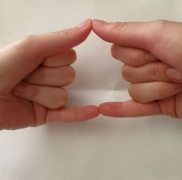 Cư dân mạng Nhật Bản nô nức tạo hình emoji đống phân bằng tay để chúc nhau may mắn - Ảnh 5.
