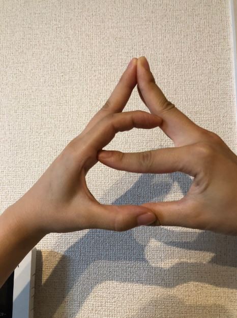 Cư dân mạng Nhật Bản nô nức tạo hình emoji đống phân bằng tay để chúc nhau may mắn - Ảnh 4.
