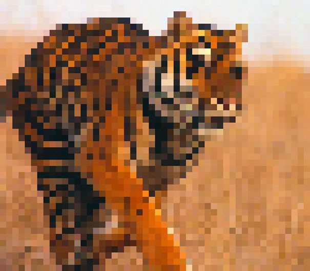 Sự thật đáng buồn về 22 bức tranh của các loài động vật có số lượng pixel tương ứng với số cá thể còn sống - Ảnh 5.