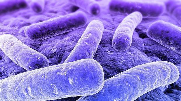 Các nhà khoa học tạo ra chất kháng sinh mới mạnh hơn 500 lần, tiêu diệt được 49 chủng siêu vi khuẩn kháng thuốc - Ảnh 1.