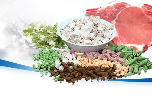 NASA và những phát minh quan trọng trong đời sống hàng ngày