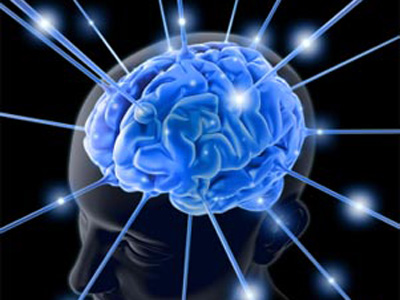 Bộ não con người và những điều khoa học chưa thể lý giải (Phần II)