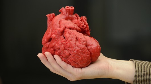 Công nghệ in 3D giúp tái tạo 100% mô hình quả tim người