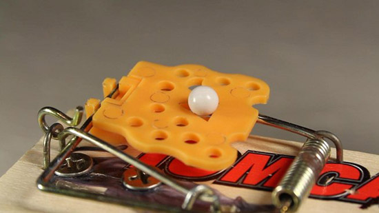 sung-luc-tu-che-tu-bay-chuot