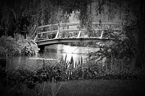 chup-anh-den-trang-nghe-thuat-voi-dramatic-black--white